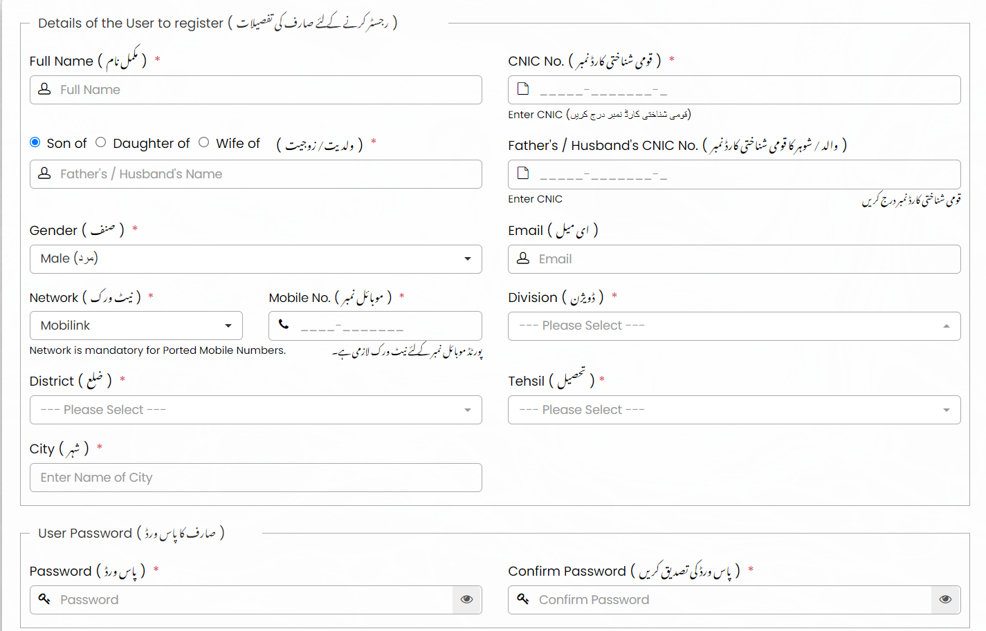 CM Punjab loan scheme 2024 apply online Registration Form